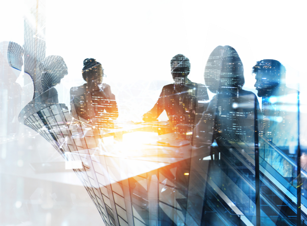 Senior Vistex® Techno-Functional Consultant